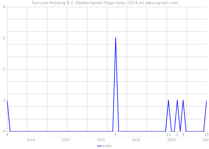 Turicum Holding B.V. (Netherlands) Page visits 2024 