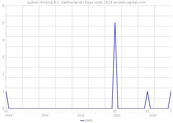 Luiken Holding B.V. (Netherlands) Page visits 2024 