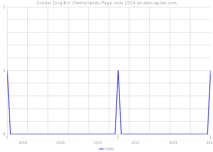 Zonder Zorg B.V. (Netherlands) Page visits 2024 