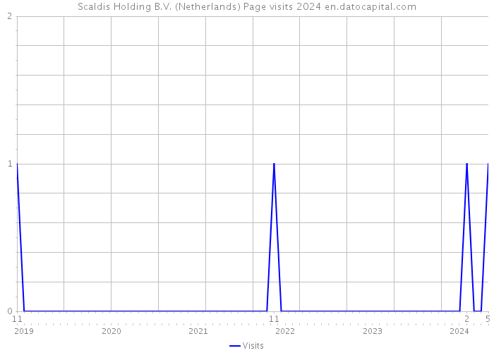 Scaldis Holding B.V. (Netherlands) Page visits 2024 
