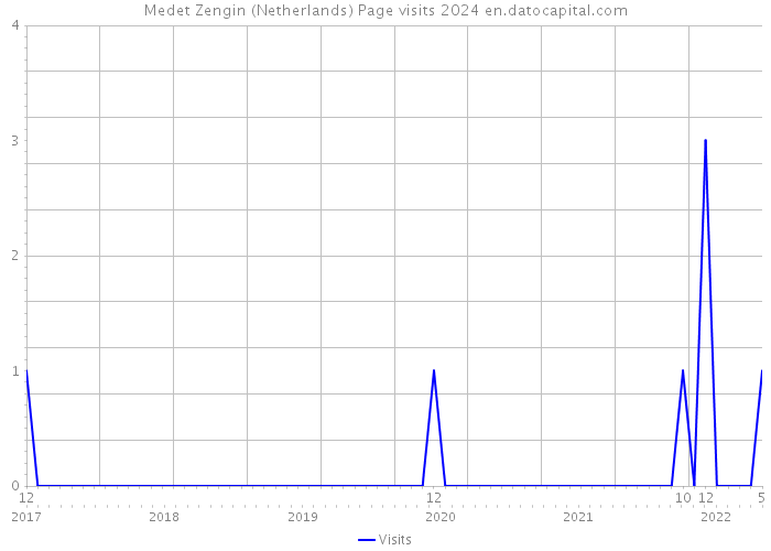 Medet Zengin (Netherlands) Page visits 2024 