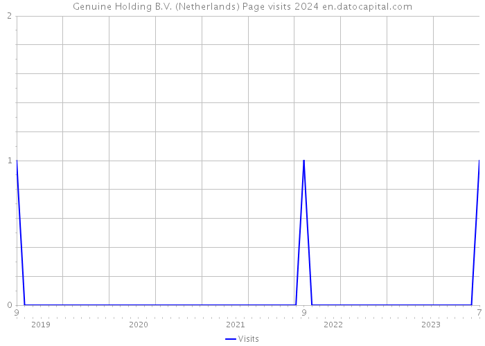 Genuine Holding B.V. (Netherlands) Page visits 2024 