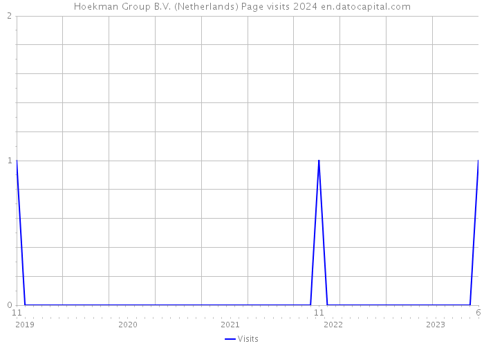 Hoekman Group B.V. (Netherlands) Page visits 2024 