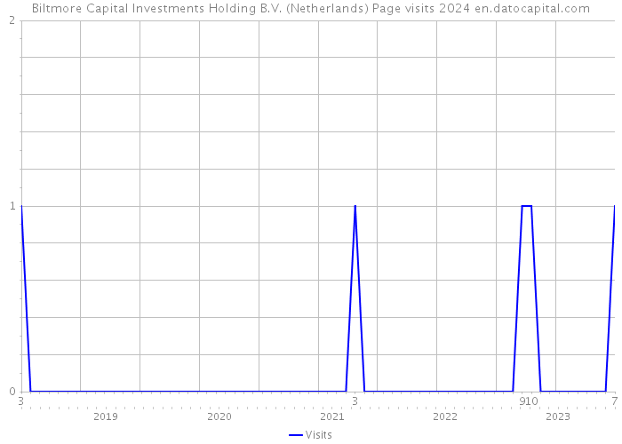 Biltmore Capital Investments Holding B.V. (Netherlands) Page visits 2024 