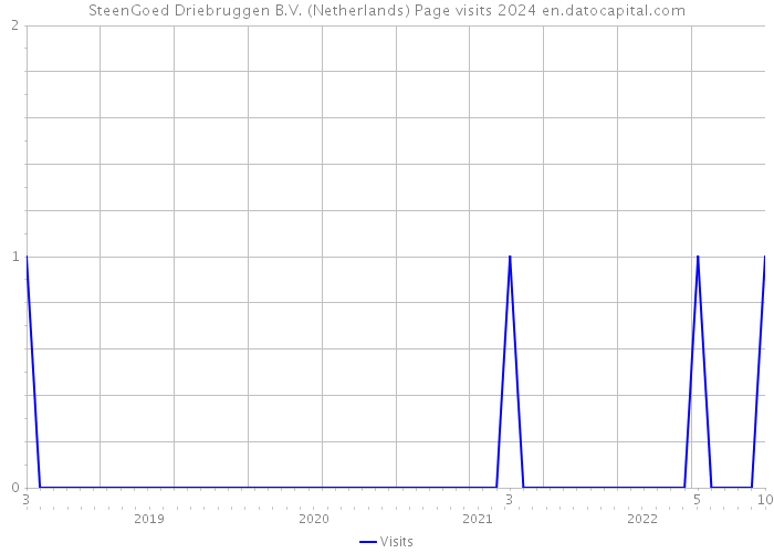 SteenGoed Driebruggen B.V. (Netherlands) Page visits 2024 
