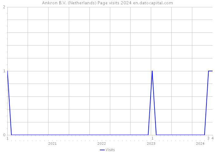 Ankron B.V. (Netherlands) Page visits 2024 