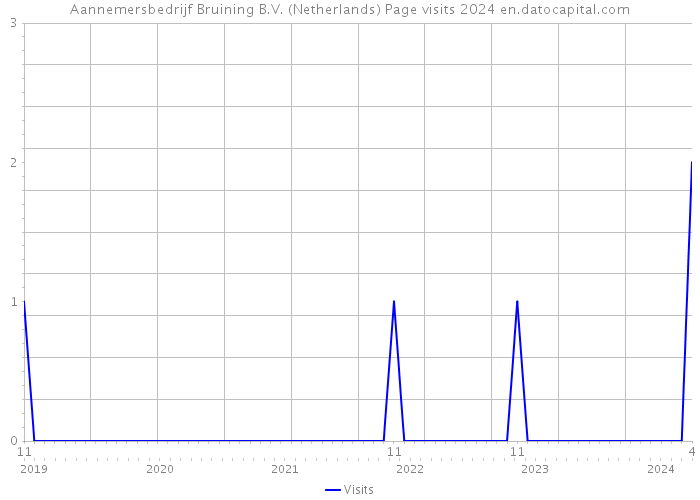 Aannemersbedrijf Bruining B.V. (Netherlands) Page visits 2024 