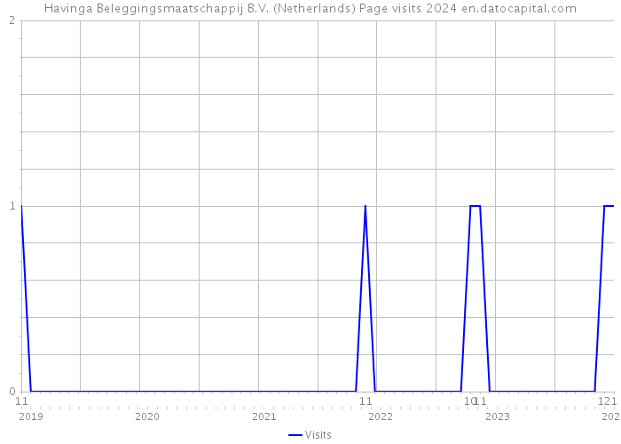 Havinga Beleggingsmaatschappij B.V. (Netherlands) Page visits 2024 