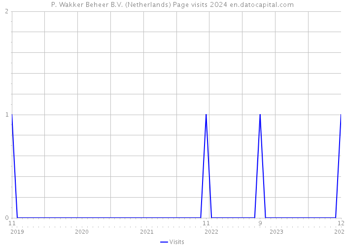 P. Wakker Beheer B.V. (Netherlands) Page visits 2024 
