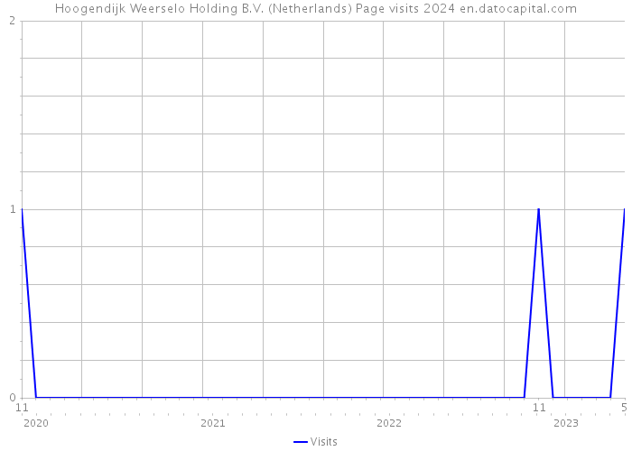 Hoogendijk Weerselo Holding B.V. (Netherlands) Page visits 2024 