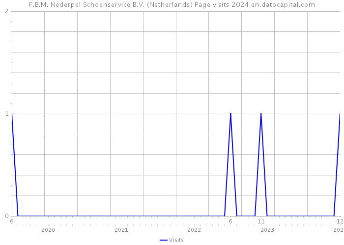F.B.M. Nederpel Schoenservice B.V. (Netherlands) Page visits 2024 