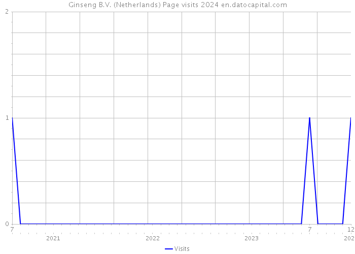 Ginseng B.V. (Netherlands) Page visits 2024 