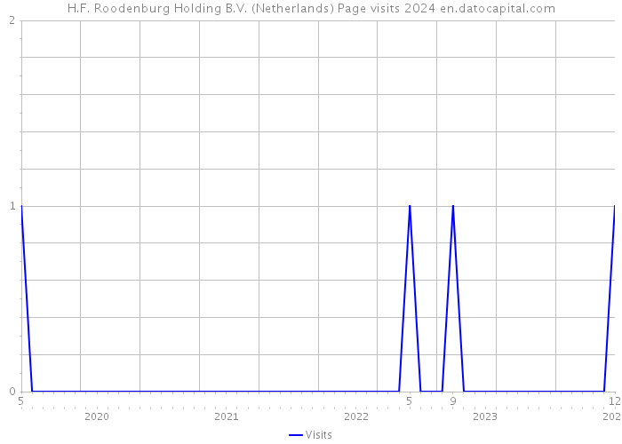 H.F. Roodenburg Holding B.V. (Netherlands) Page visits 2024 