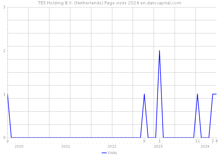 TES Holding B.V. (Netherlands) Page visits 2024 