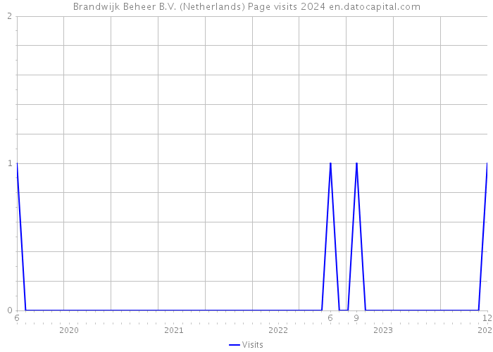 Brandwijk Beheer B.V. (Netherlands) Page visits 2024 