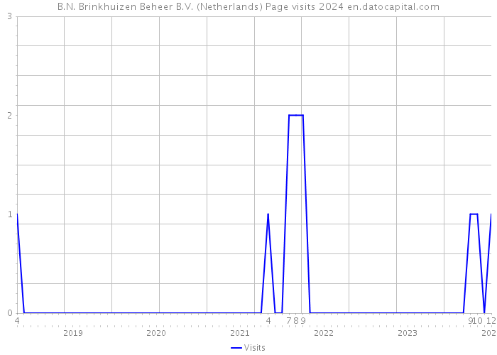 B.N. Brinkhuizen Beheer B.V. (Netherlands) Page visits 2024 