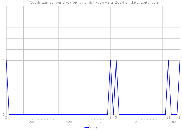 H.J. Goudriaan Beheer B.V. (Netherlands) Page visits 2024 