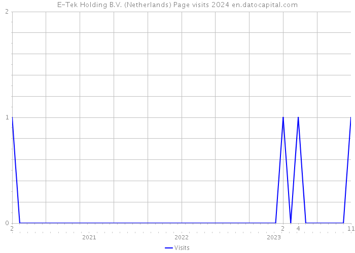 E-Tek Holding B.V. (Netherlands) Page visits 2024 