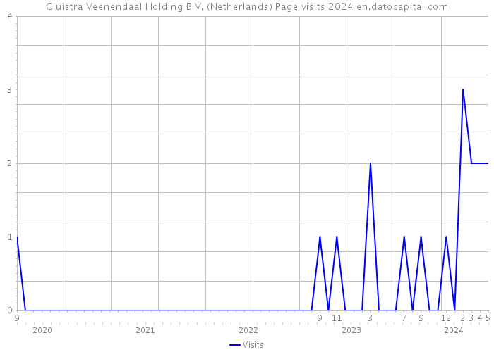 Cluistra Veenendaal Holding B.V. (Netherlands) Page visits 2024 