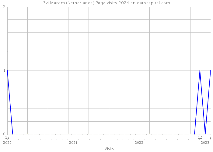 Zvi Marom (Netherlands) Page visits 2024 