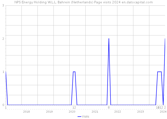 NPS Energy Holding W.L.L. Bahrein (Netherlands) Page visits 2024 