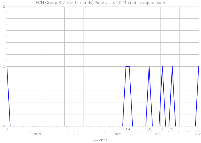 HZN Group B.V. (Netherlands) Page visits 2024 