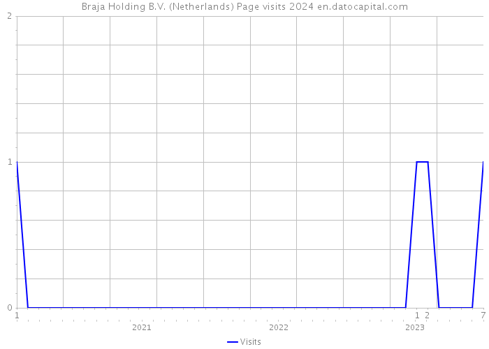 Braja Holding B.V. (Netherlands) Page visits 2024 