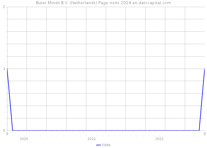 Buter Minds B.V. (Netherlands) Page visits 2024 