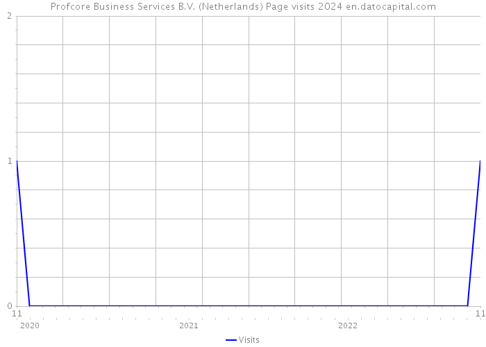Profcore Business Services B.V. (Netherlands) Page visits 2024 