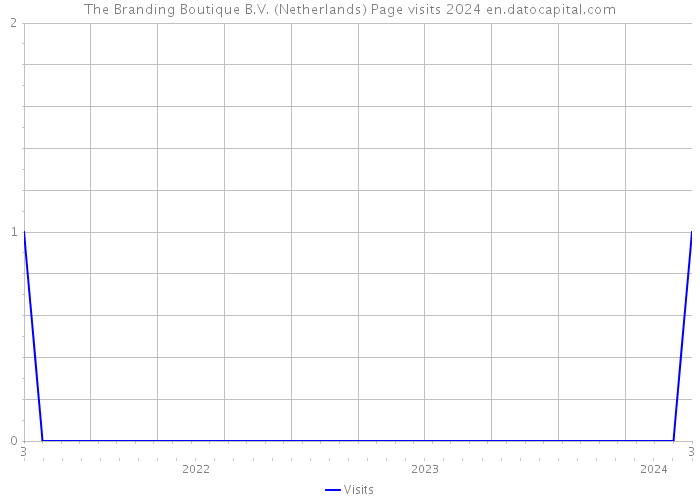 The Branding Boutique B.V. (Netherlands) Page visits 2024 