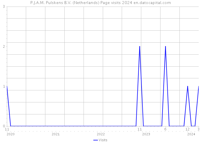 P.J.A.M. Pulskens B.V. (Netherlands) Page visits 2024 