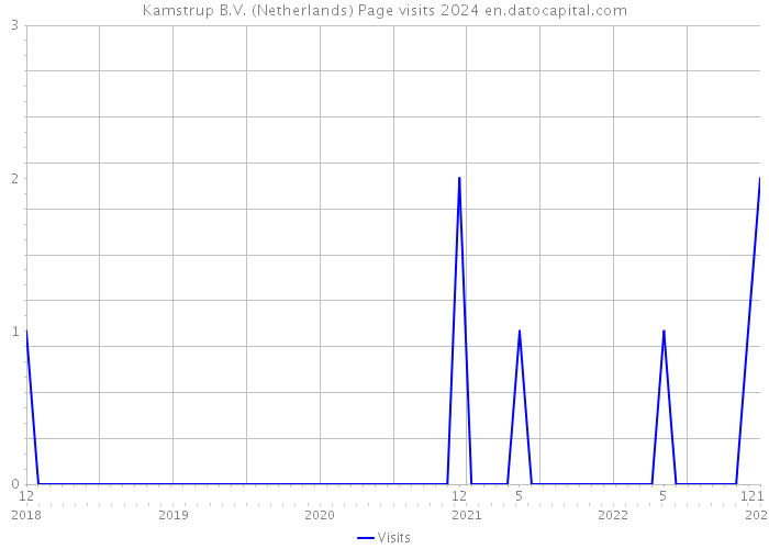 Kamstrup B.V. (Netherlands) Page visits 2024 