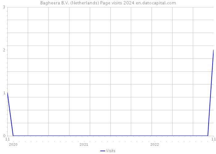 Bagheera B.V. (Netherlands) Page visits 2024 
