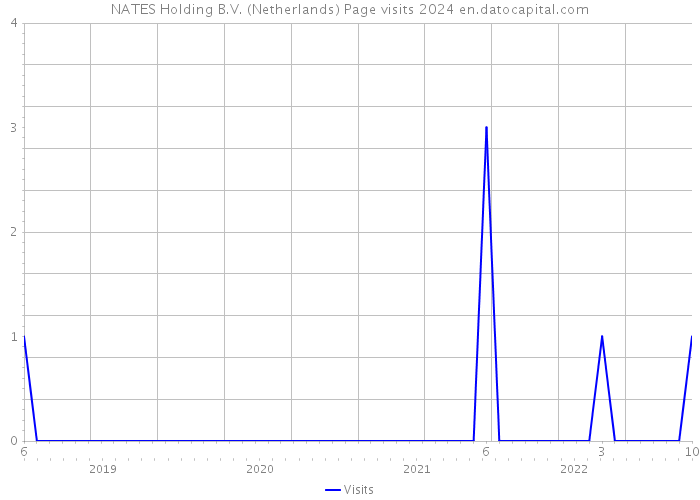 NATES Holding B.V. (Netherlands) Page visits 2024 