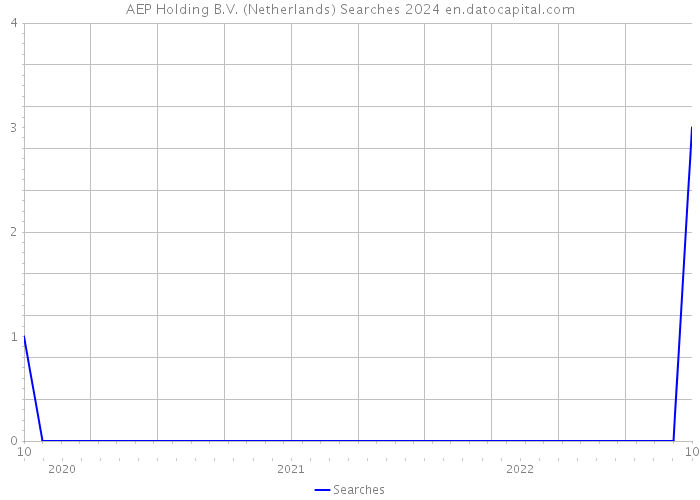 AEP Holding B.V. (Netherlands) Searches 2024 