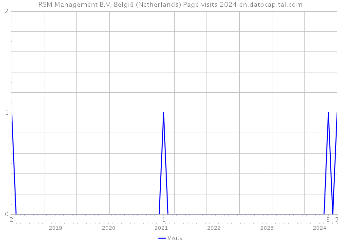 RSM Management B.V. België (Netherlands) Page visits 2024 