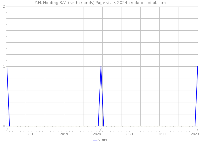 Z.H. Holding B.V. (Netherlands) Page visits 2024 