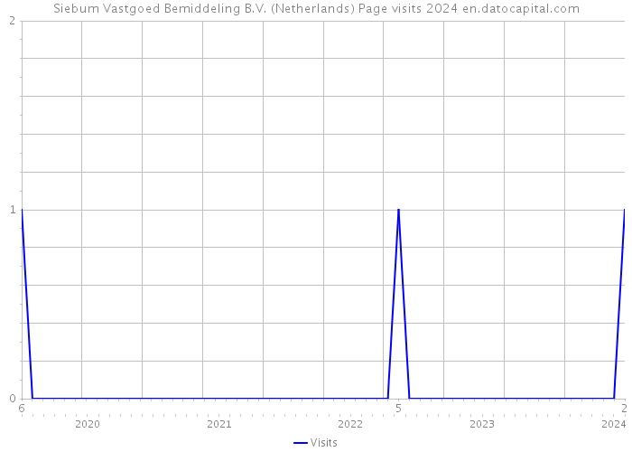 Siebum Vastgoed Bemiddeling B.V. (Netherlands) Page visits 2024 