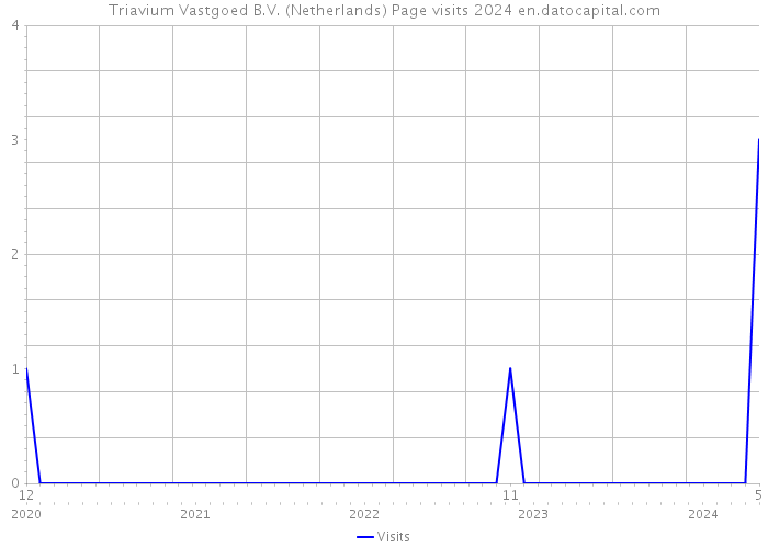 Triavium Vastgoed B.V. (Netherlands) Page visits 2024 