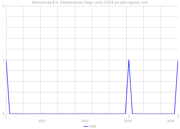 Bienvenida B.V. (Netherlands) Page visits 2024 