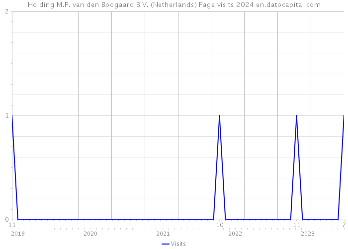 Holding M.P. van den Boogaard B.V. (Netherlands) Page visits 2024 