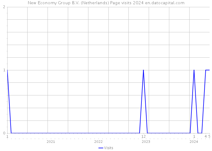 New Economy Group B.V. (Netherlands) Page visits 2024 