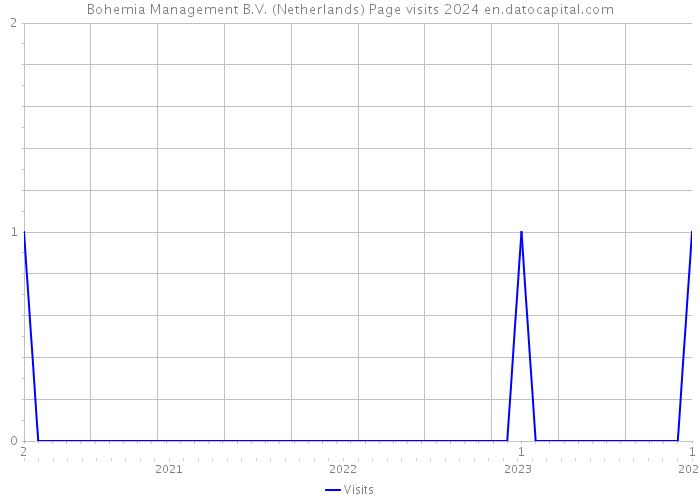 Bohemia Management B.V. (Netherlands) Page visits 2024 