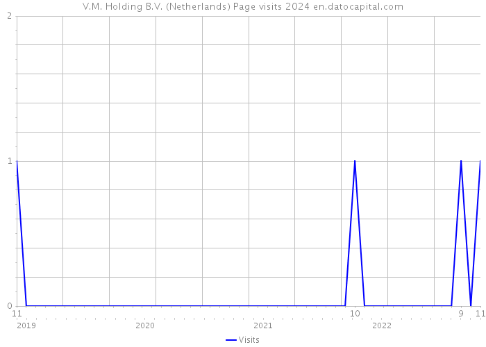 V.M. Holding B.V. (Netherlands) Page visits 2024 