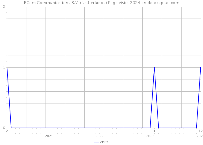 BCom Communications B.V. (Netherlands) Page visits 2024 