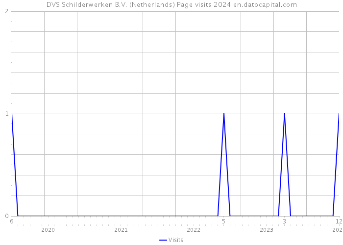 DVS Schilderwerken B.V. (Netherlands) Page visits 2024 