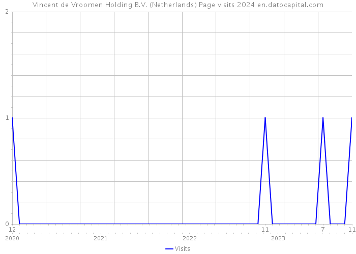 Vincent de Vroomen Holding B.V. (Netherlands) Page visits 2024 