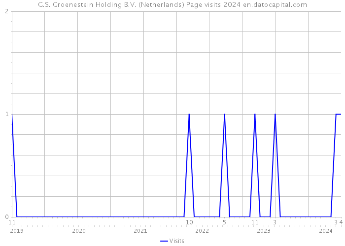 G.S. Groenestein Holding B.V. (Netherlands) Page visits 2024 