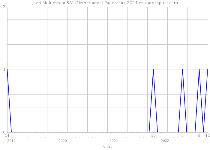 Joeri Multimedia B.V. (Netherlands) Page visits 2024 