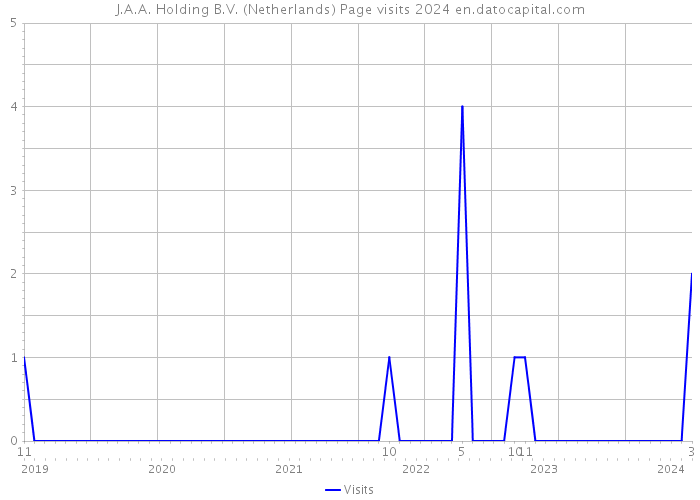 J.A.A. Holding B.V. (Netherlands) Page visits 2024 